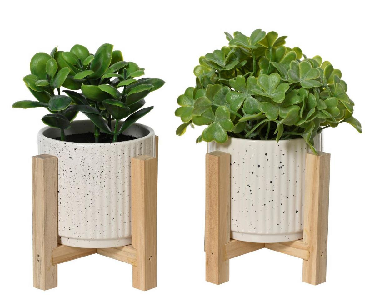 Biljka Umjetna Joyce Ø/v: 13x19cm - bijela/zelena, Basics, plastika (13/19cm)