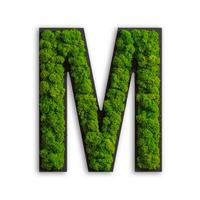 Moosbild Grün - Schwarz/Grün, Basics, Naturmaterialien/Holz (25/21/4cm)