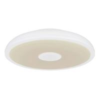Stropna Svjetiljka Opal Bijela - bijela/opalna, Basics, plastika (28/5,5cm) - Globo