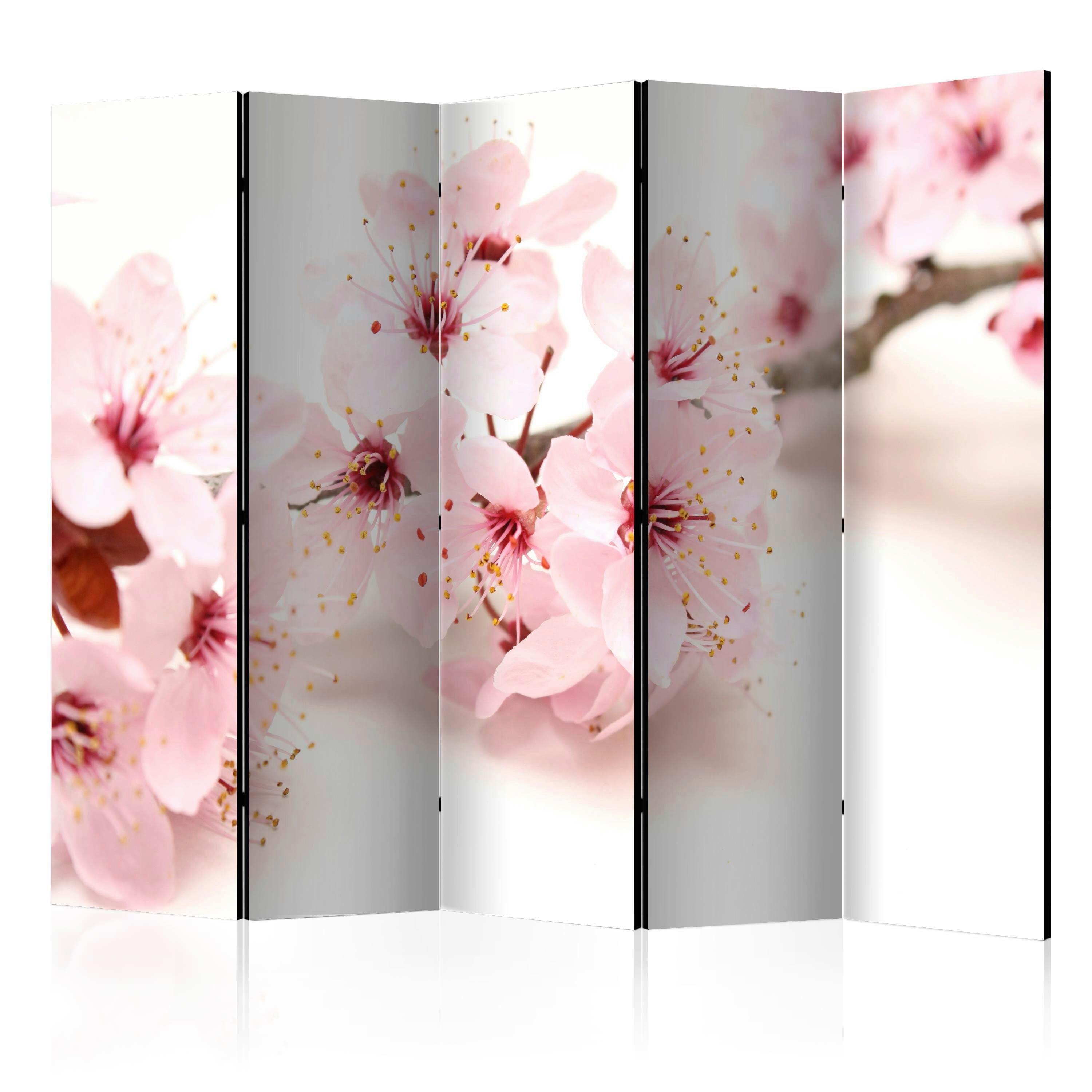 Paravan Cherry Blossom I, 5-Delni, Dvostranski - bela/svetlo roza, Basics, tekstil/les (225/172/3cm) - artgeist