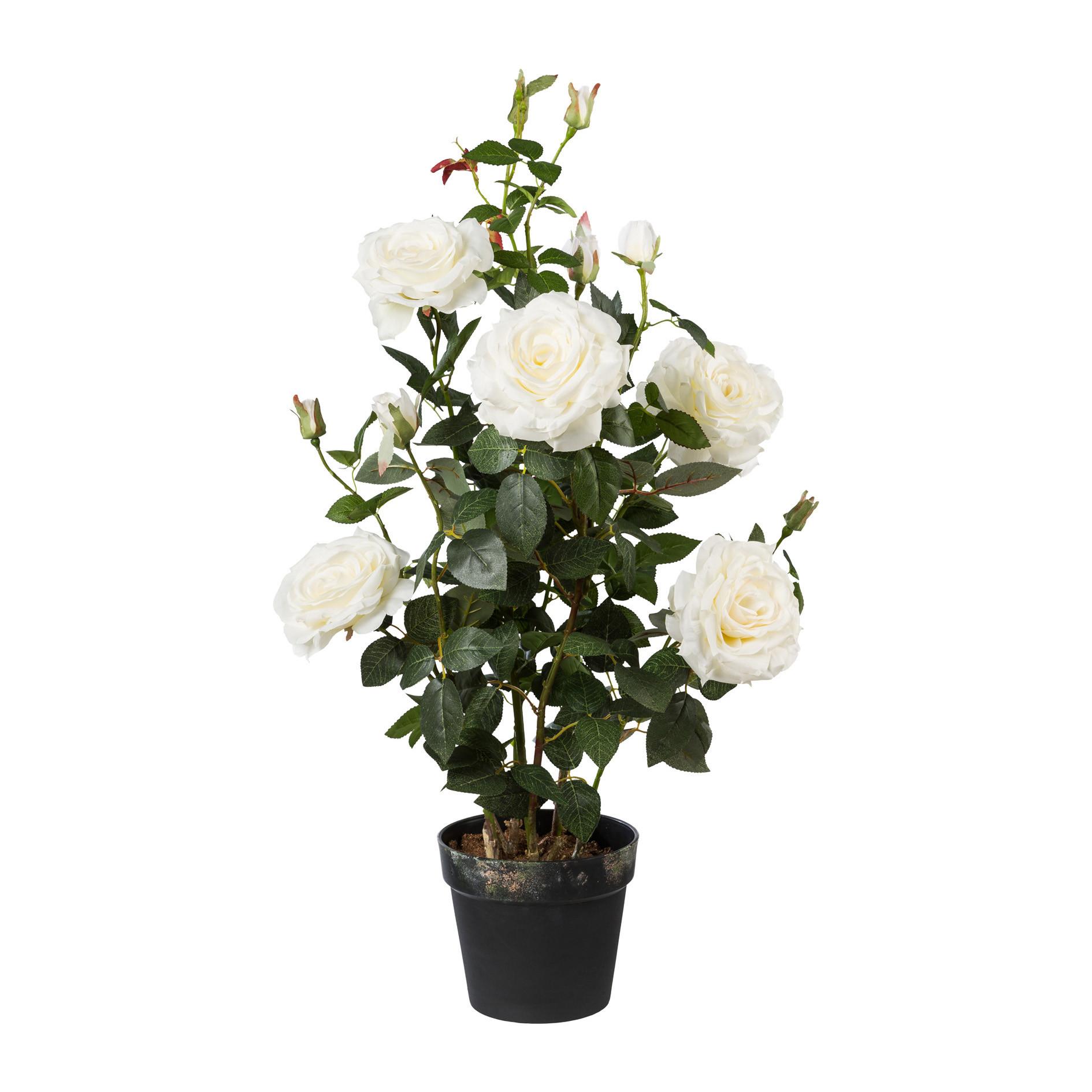 Kunstpflanze Rosenstock ca. 90cm - Weiß/Grün, Trend, Kunststoff (90cm) - P & B