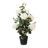 Kunstpflanze Rosenstock ca. 90cm - Weiß/Grün, Trend, Kunststoff (90cm) - P & B