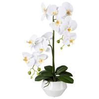 Kunstpflanze Orchideen Weiß/Grün - Weiß/Grün, Design, Keramik/Kunststoff (52cm)