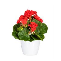 Kunstpflanze Blühpflanzen Rot/Grün - Rot/Weiß, Design, Keramik/Kunststoff (24cm)