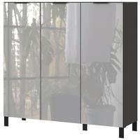 Schuhschrank Ceduna in Graphitfarben/Grau - Graphitfarben/Schwarz, MODERN, Glas/Holzwerkstoff (131/128/40cm) - Premium Living
