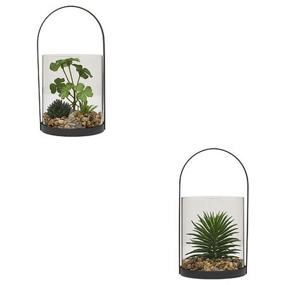 Plantă decorativă Terra, H: cca. 19 cm - Basics (11/10/19cm)