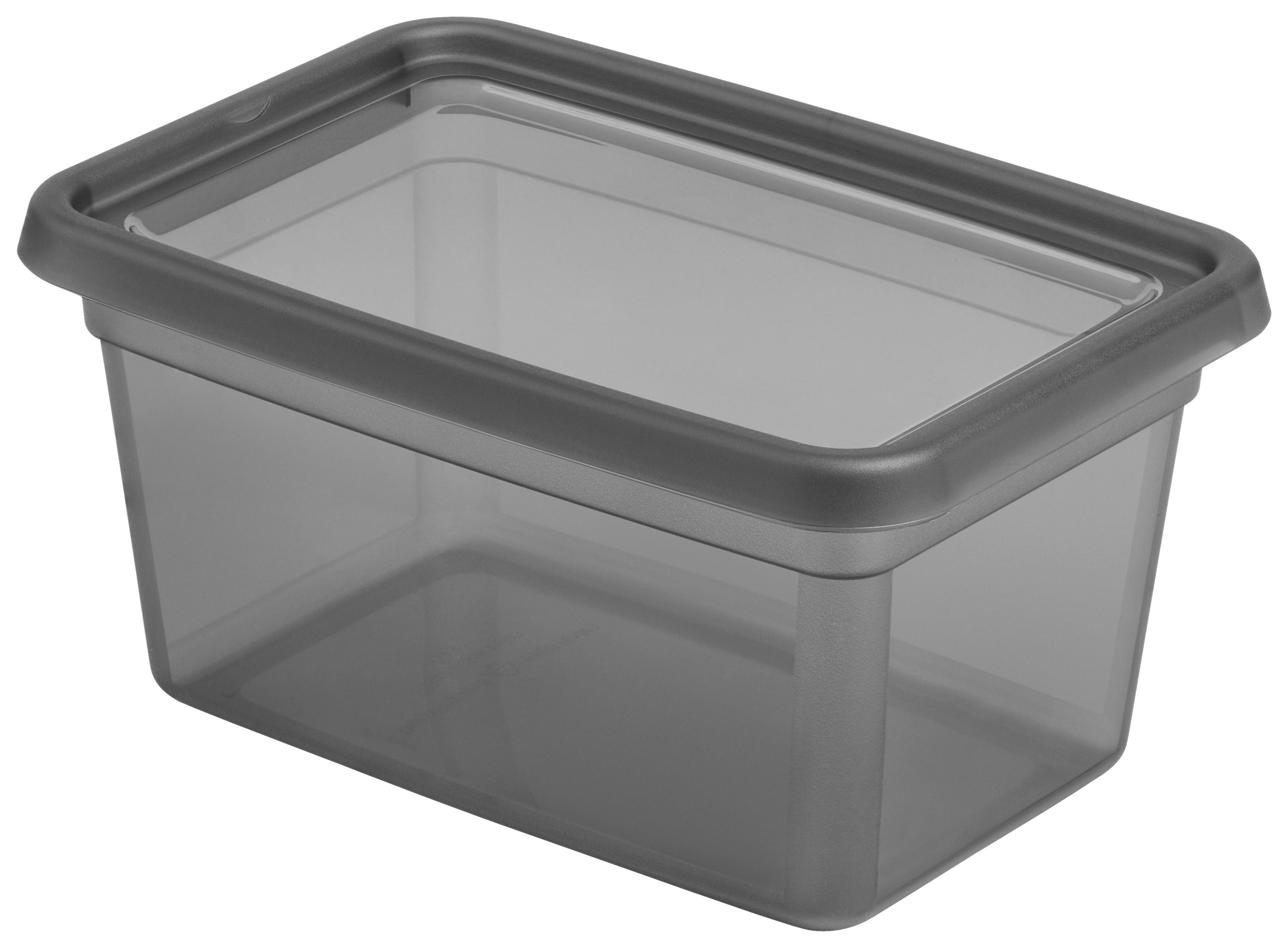 Aufbewahrungsbox Blacky in Schwarz ca. 4,5l - Transparent/Schwarz, Modern, Kunststoff (19/28/14cm) - Premium Living