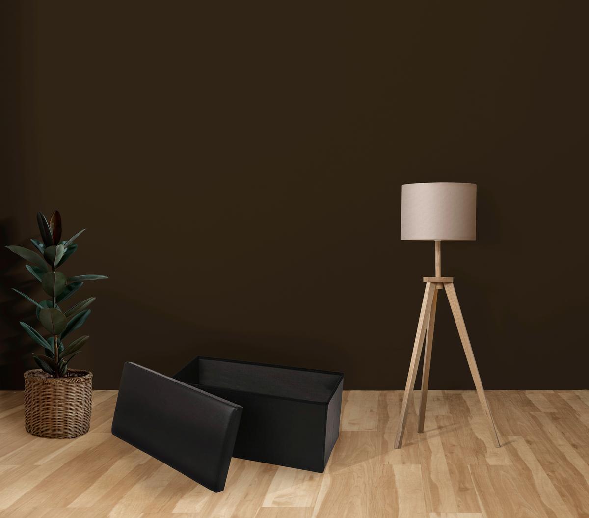 Sitzbox Schwarz Kunststoff faltbar mit Stauraum - Schwarz, Basics, Kunststoff (76/38/38cm) - Echtwerk