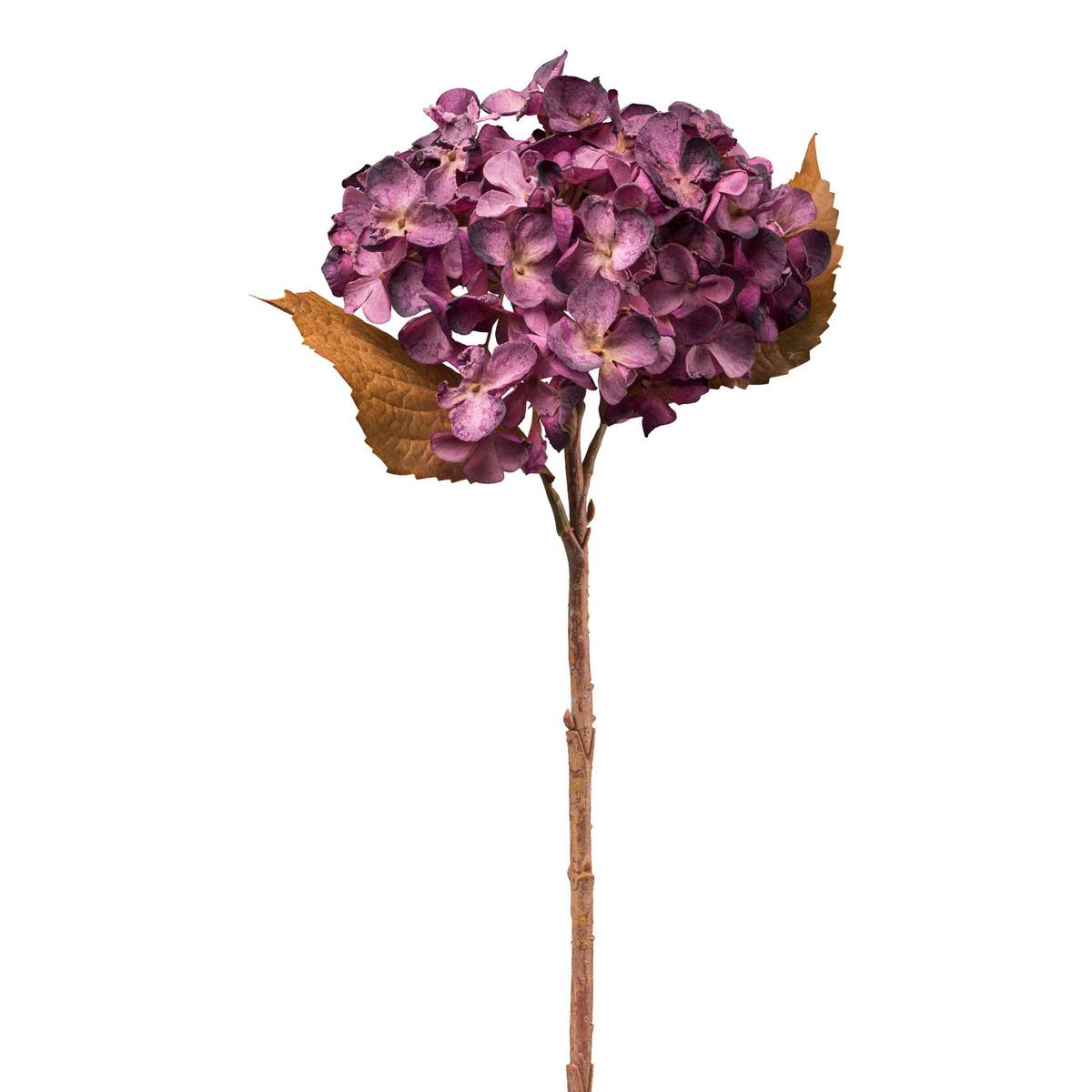 Műnövény Hortensie I - lila/natúr színű, Basics, műanyag (46cm) - Mömax