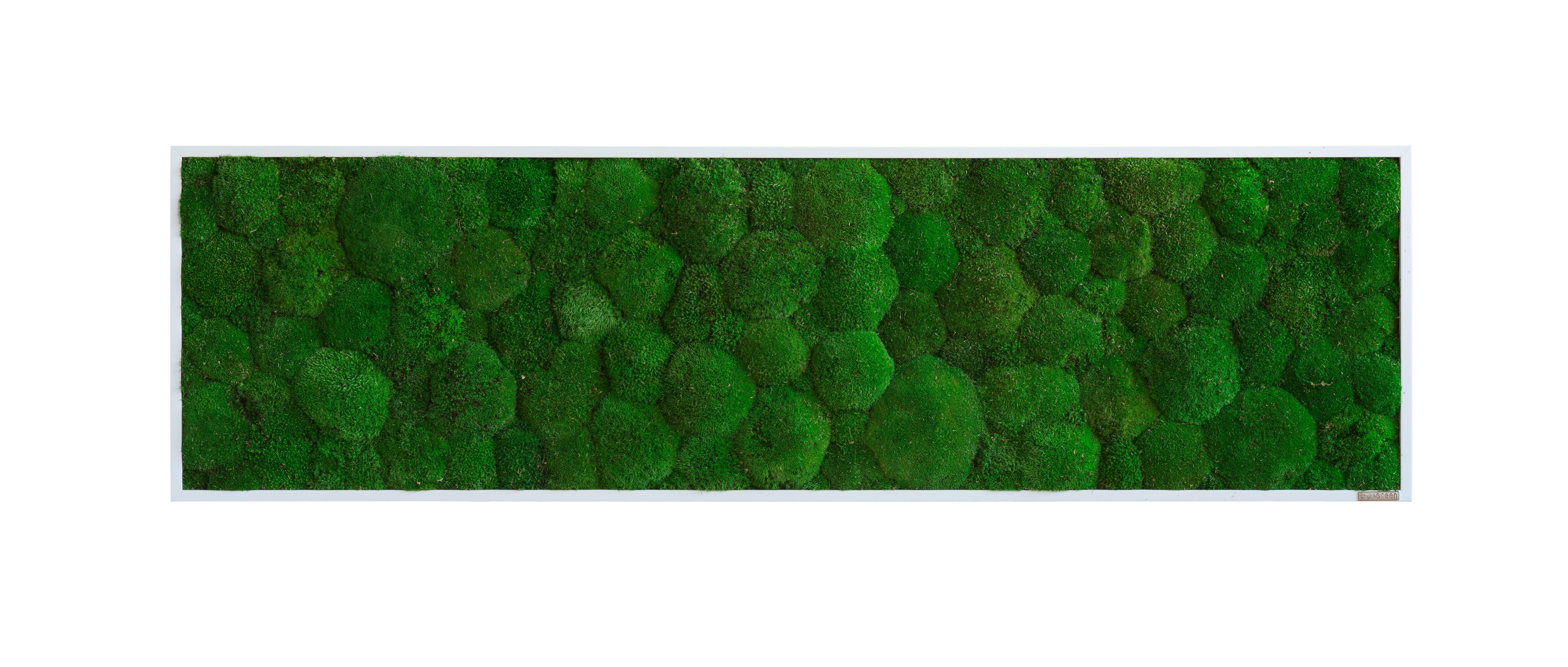 Moosbild Grün - Weiß/Grün, Basics, Naturmaterialien/Holz (140/40/7cm)
