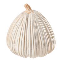 Dekokürbis Belle Creme - Creme, KONVENTIONELL, Keramik (16,8/17,2cm) - Modern Living