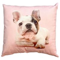 Okrasna Blazina French Buldog - roza, Design, tekstil (40/40cm)