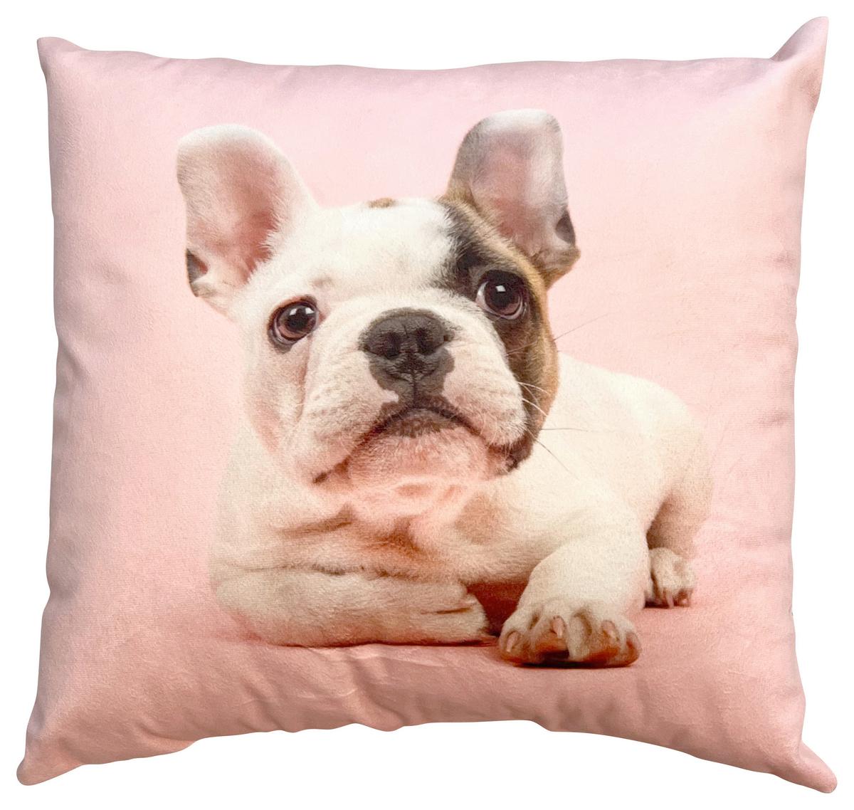 Okrasna Blazina French Buldog - roza, Design, tekstil (40/40cm)