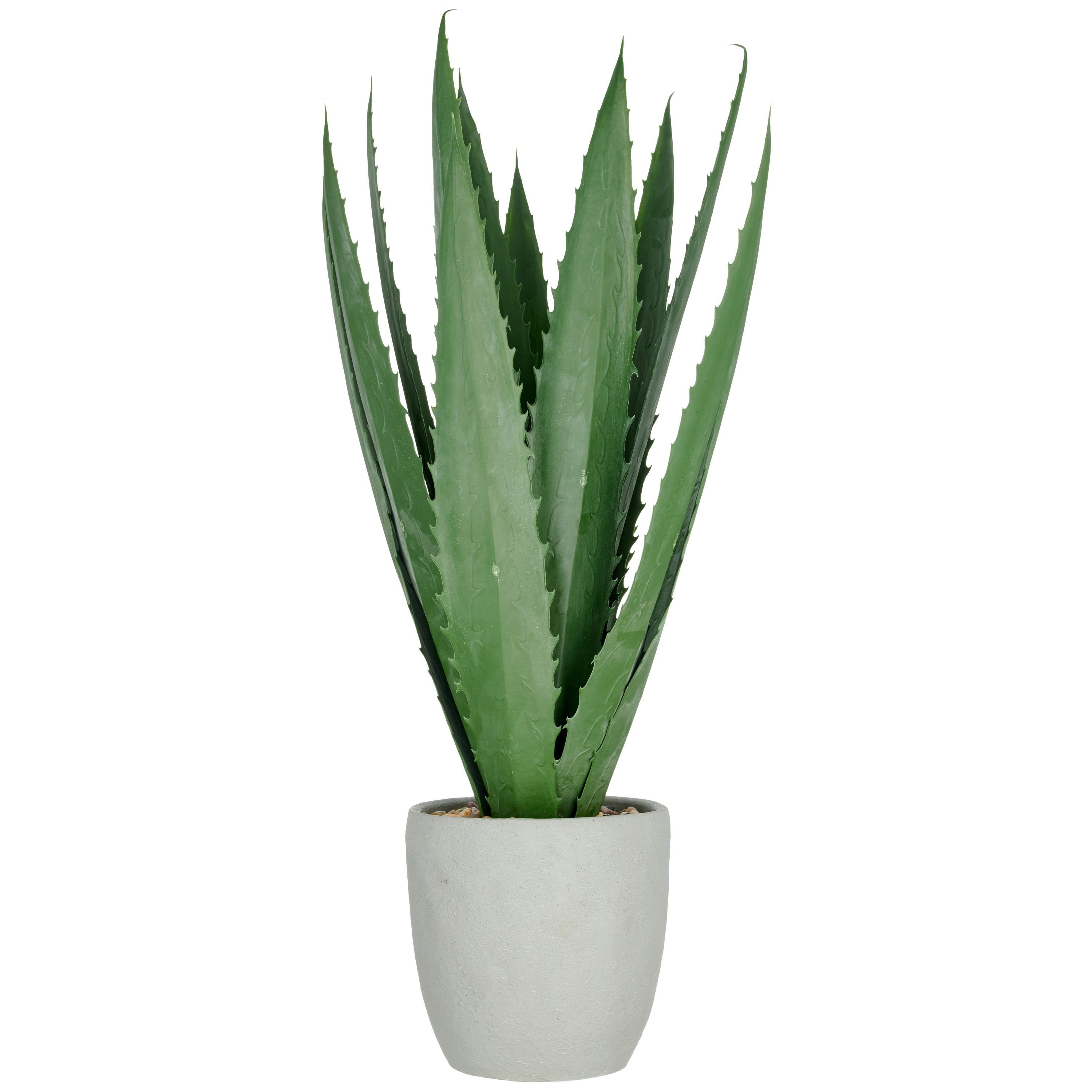 Agave Grün - Grün, Basics, Kunststoff (80cm)