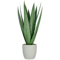Agave Grün - Grün, Basics, Kunststoff (80cm)