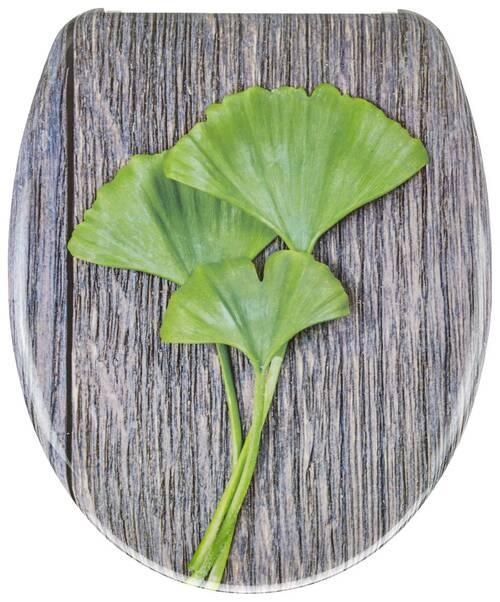 Deska Za Wc-školjko Gingko -Sb- - zelena/rjava, Moderno, umetna masa (38/5,5/45,5cm) - Schütte