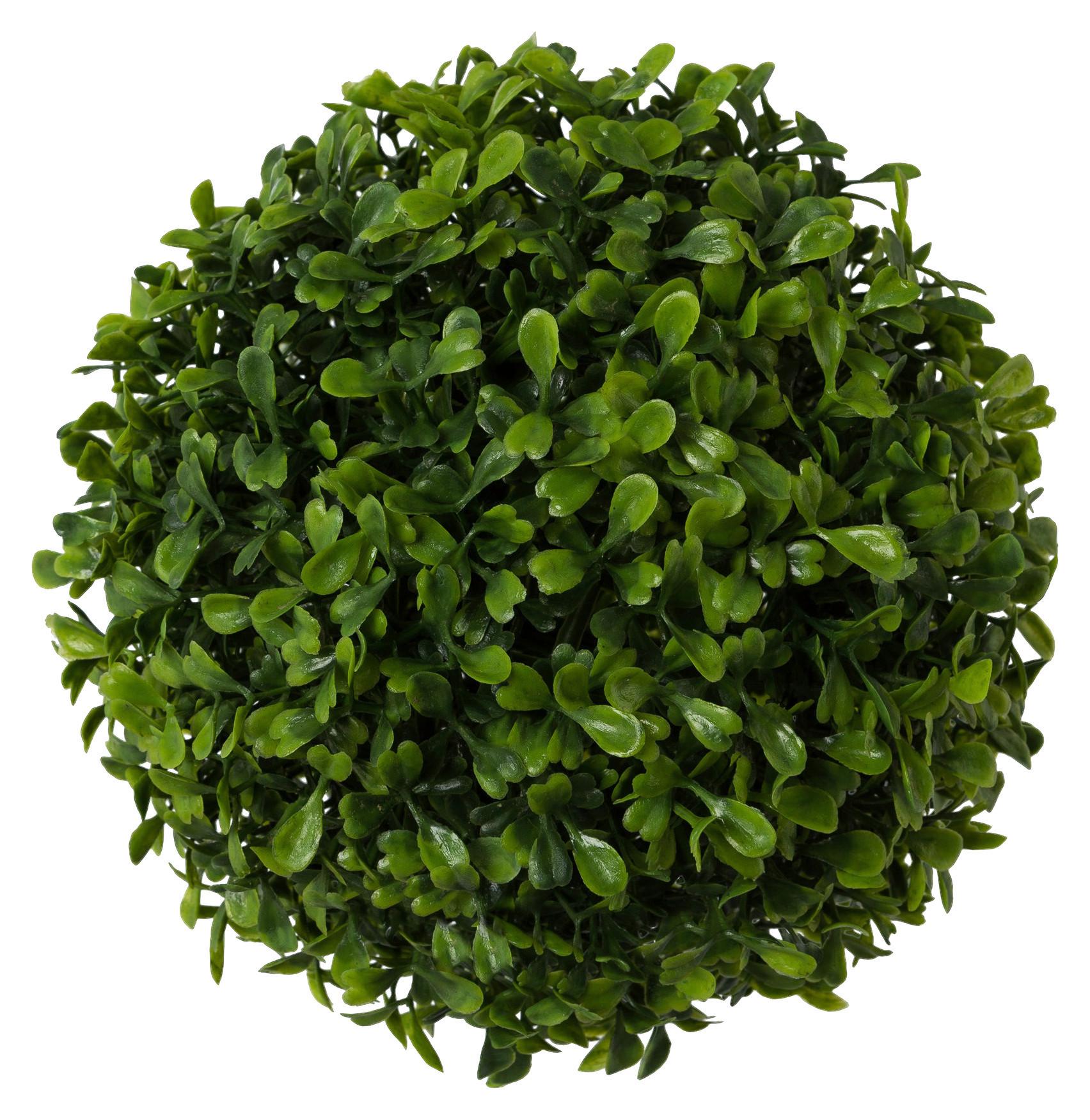 Műnövény Buxus - zöld, Natur, műanyag (18cm) - Modern Living
