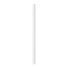 PAILLE POUR BOISSON JESSY - clair/Transparent, verre (20cm) - Premium Living