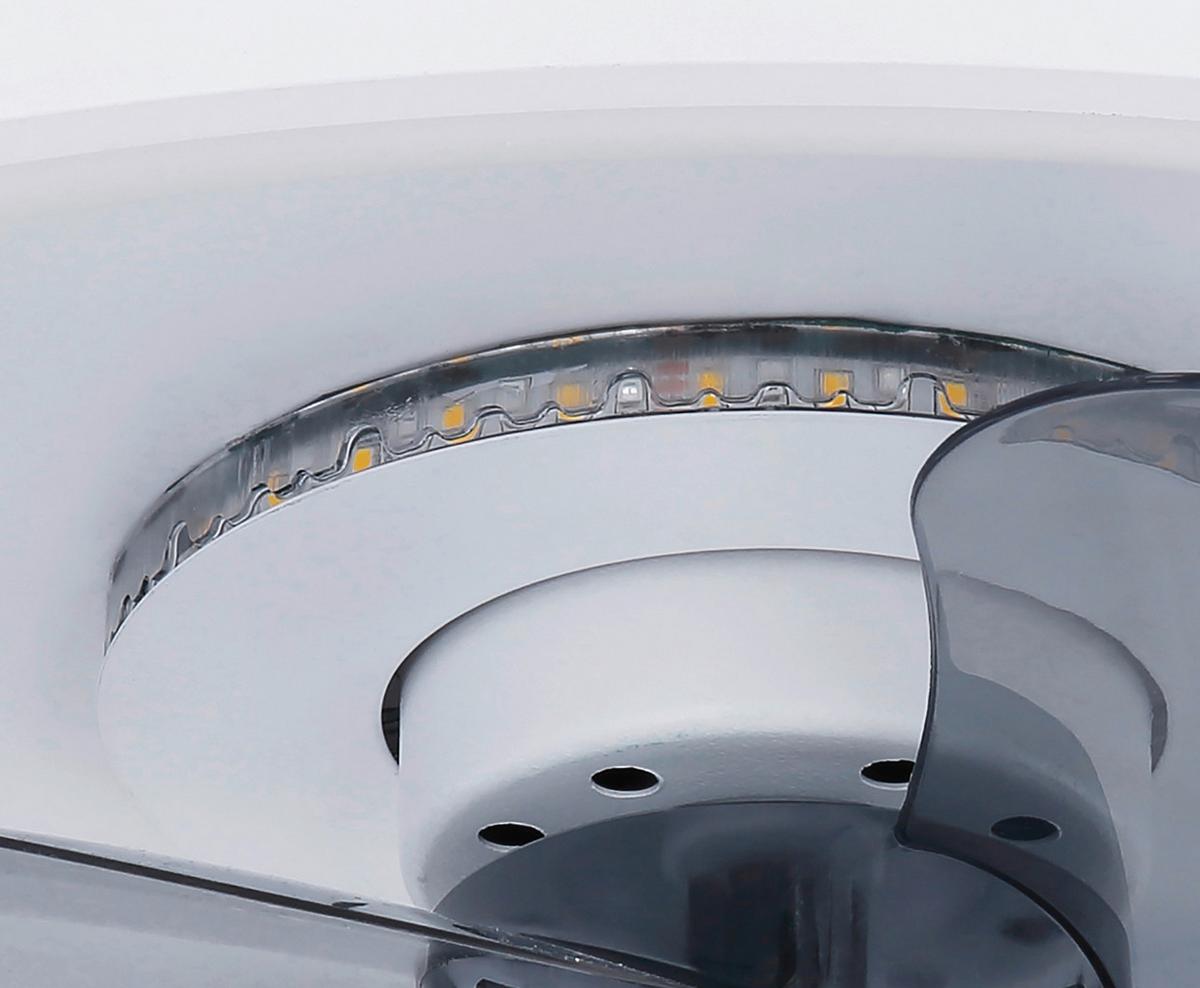 Stropni Ventilator 03631 Joey - siva/bela, Basics, kovina/umetna masa (45/13cm) - Globo