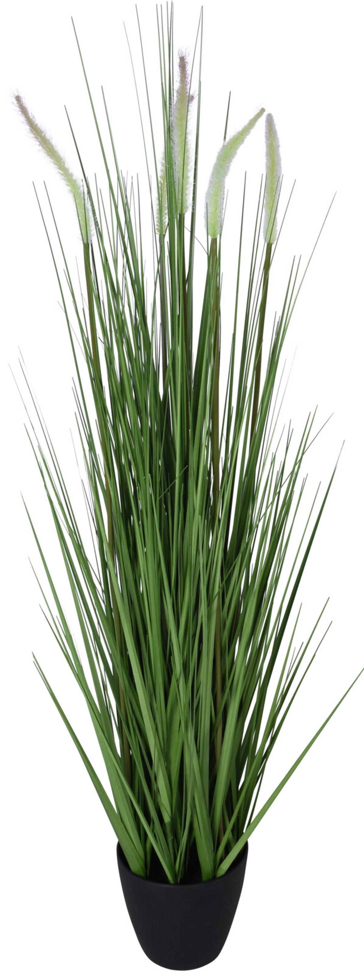 Plantă artificială Grass plant - plastic (30/90cm)