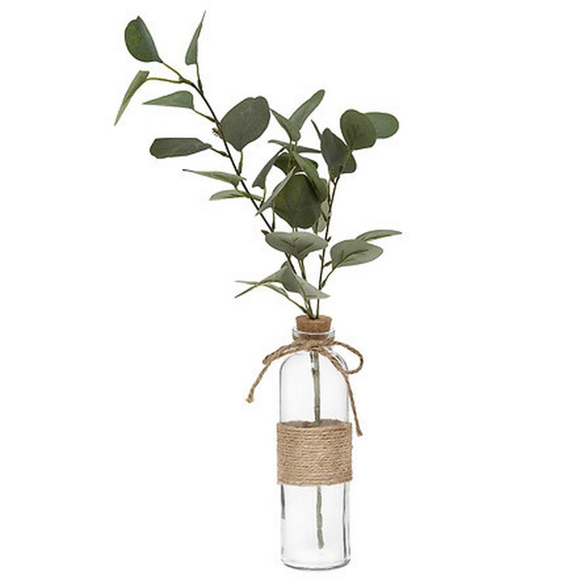 Floare decorativă Eucalyptus - Basics (21/48/21cm)