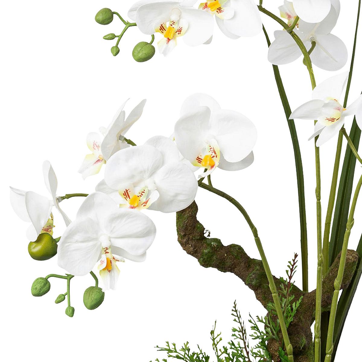 Kunstpflanze Orchideen Weiß/Grün - Weiß/Grün, Design, Keramik/Kunststoff (46cm)