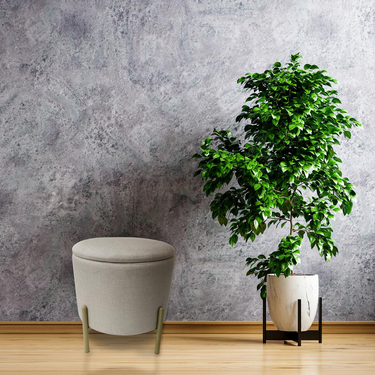 Hocker Logan Creme Samt mit Stauraum - Goldfarben/Creme, Design, Textil/Metall (36/40/36cm) - Echtwerk