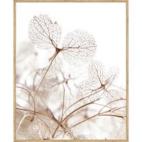DRUK ARTYSTYCZNY 8434155288167 - kolor dębowy/różnokolorowy, Lifestyle, materiał drewnopochodny (40/50cm) - Monee