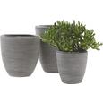 Übertopf Marlene in Schwarz - Schwarz, LIFESTYLE, Kunststoff (15/15cm) - Mömax modern living Übertopf Marlene in Schwarz - Schwarz, LIFESTYLE, Kunststoff (15/15cm) - Mömax modern living