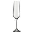 Kozarec Za Penino Norma - prozorna, Moderno, steklo (0,22l) - Bohemia Kozarec Za Penino Norma - prozorna, Moderno, steklo (0,22l) - Bohemia
