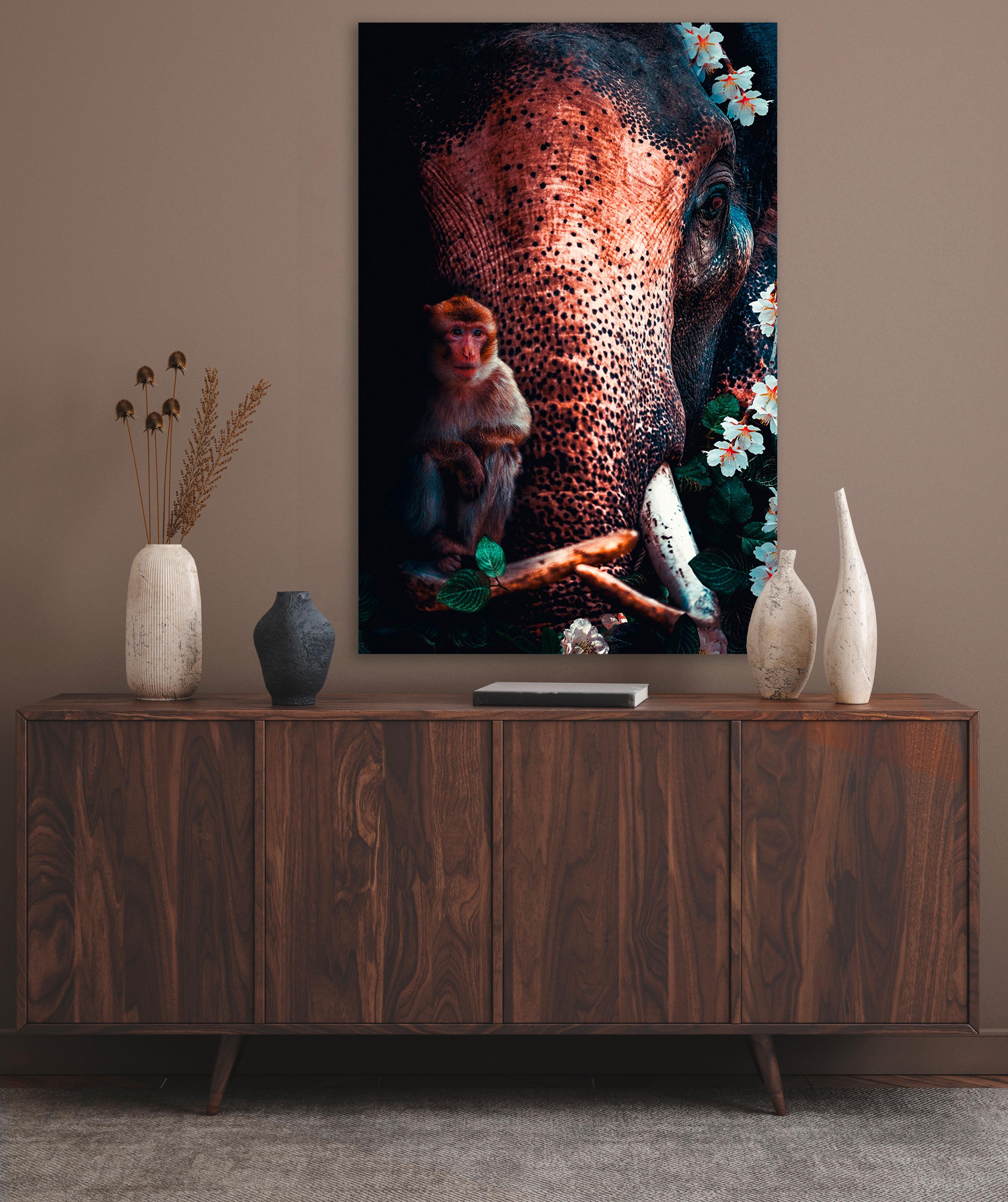 BILD posterjunkie-20-98x148-dbw-mko - Multicolor, Basics, Kunststoff/Metall (98/148/10cm)