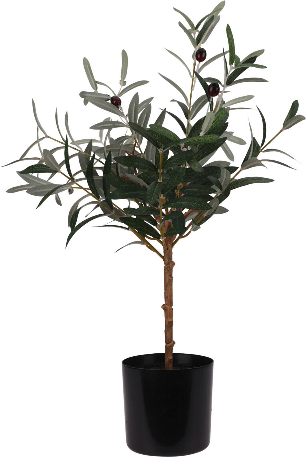 Biljka Umjetna Olive Tree - zelena, Basics, plastika (16/66cm)