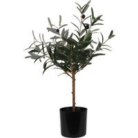 Műnövény Olive Tree - zöld, Basics, műanyag (16/66cm)