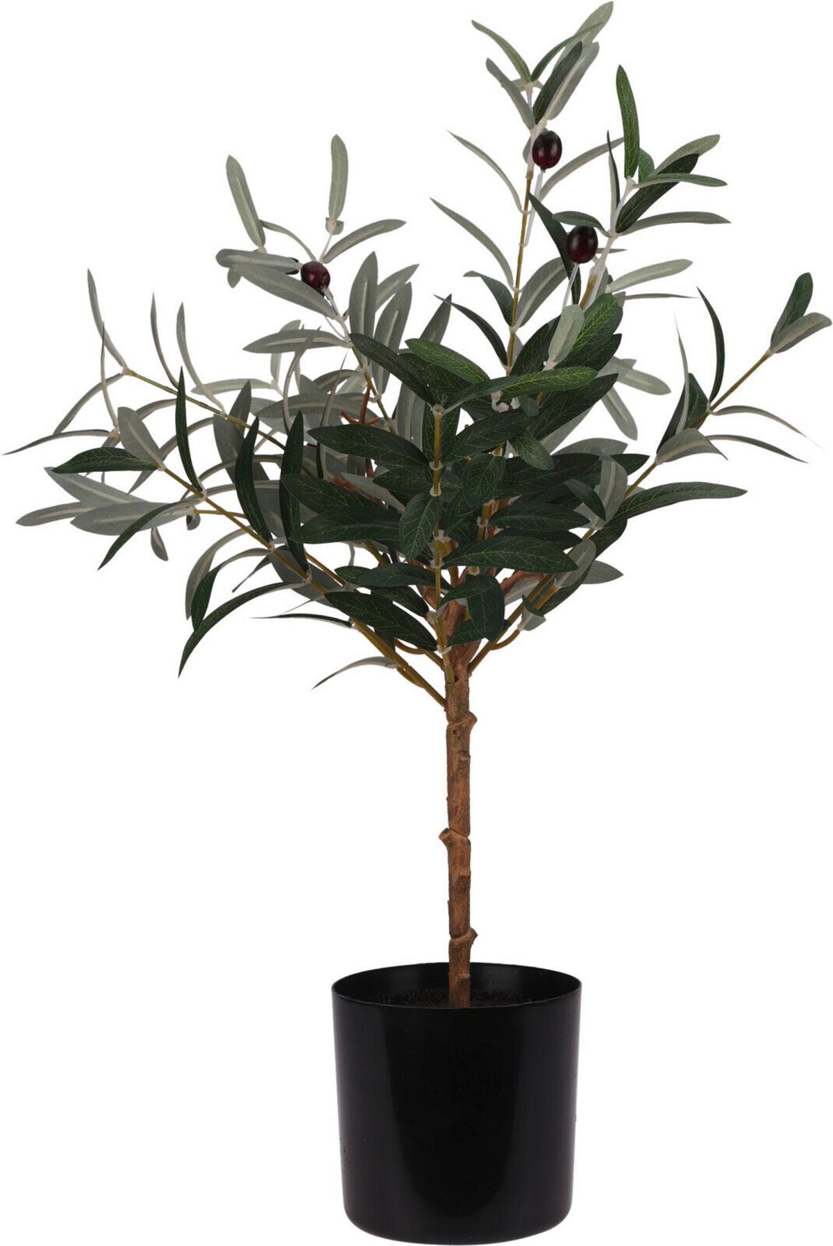 Műnövény Olive Tree - zöld, Basics, műanyag (16/66cm)