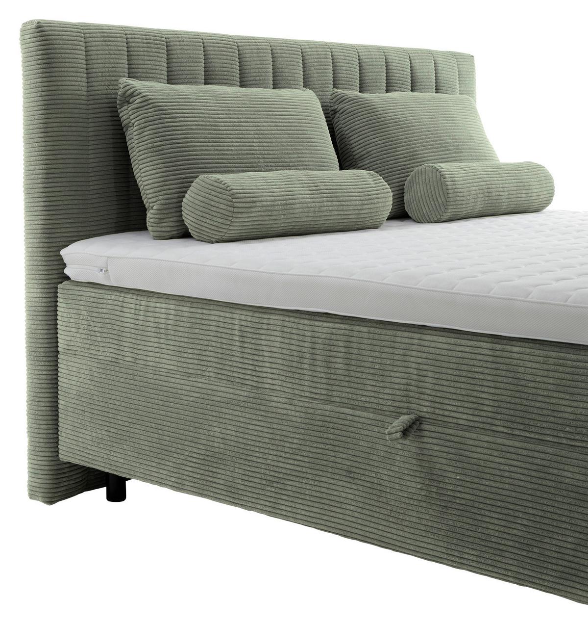 Box Ágy Raja - olívazöld/zöld, Modern, faalapú anyag/textil (160/200cm)