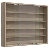 Viseča Vitrina Agisa L, Hrast - srebrne barve/hrast sonoma, Moderno, steklo/leseni material (77/60/10cm) - MID.YOU
