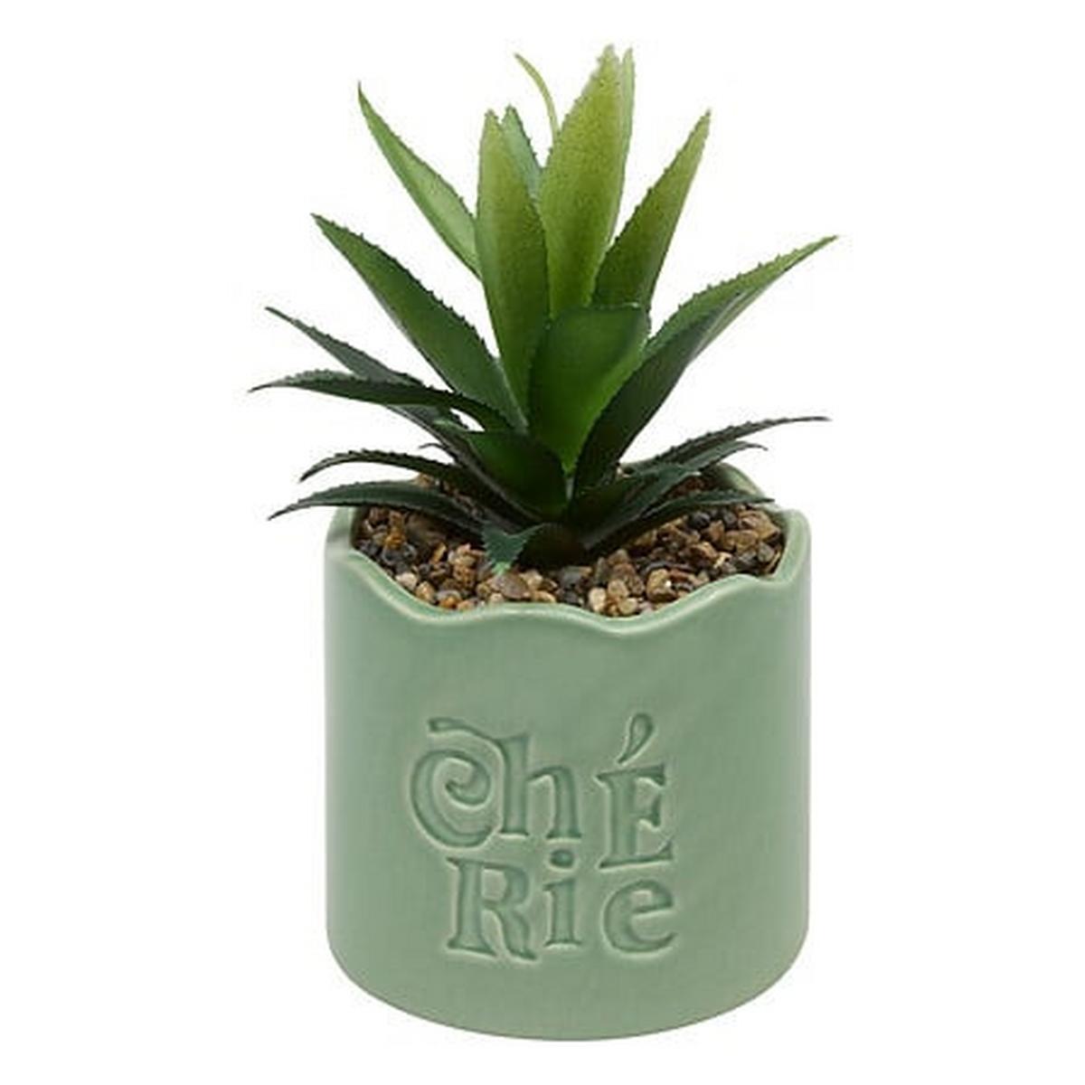 Plantă decorativă Cheri 14,5 cm - Basics (14,5cm)