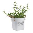 Kaspó Fleur De Paris - Fehér, romantikus/Landhaus, Fém (18,5cm) - Mömax modern living Kaspó Fleur De Paris - Fehér, romantikus/Landhaus, Fém (18,5cm) - Mömax modern living