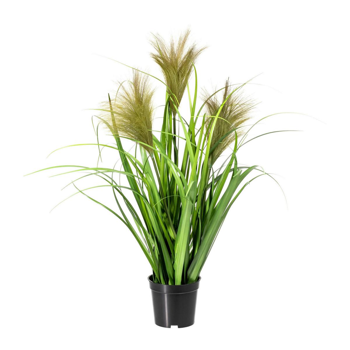 Schilfgras Grün Kunststoff H: ca. 9,5cm - Schwarz/Grün, Basics, Kunststoff (60cm) - P & B