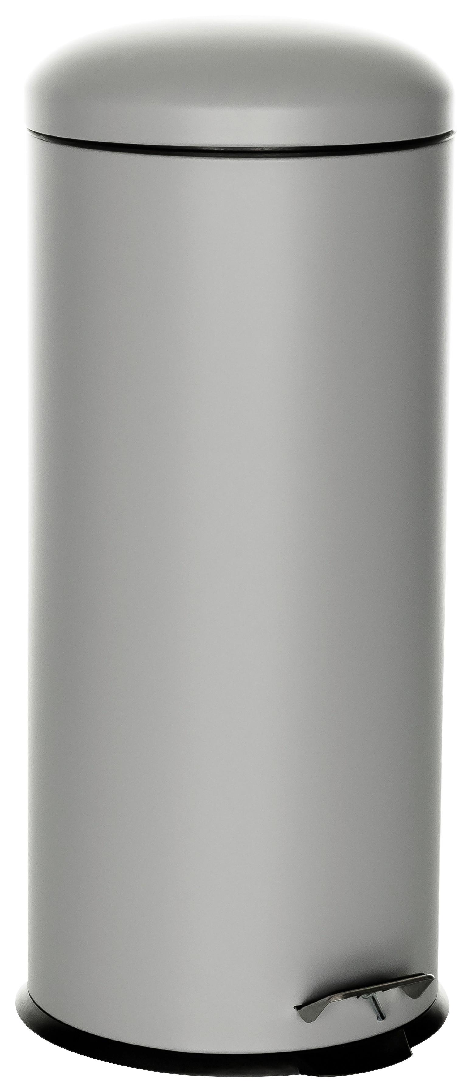 Koš Za Smeti Clean Viii, 30 L, Siva - siva/črna, Basics, kovina/umetna masa (30/69/30cm) - MID.YOU