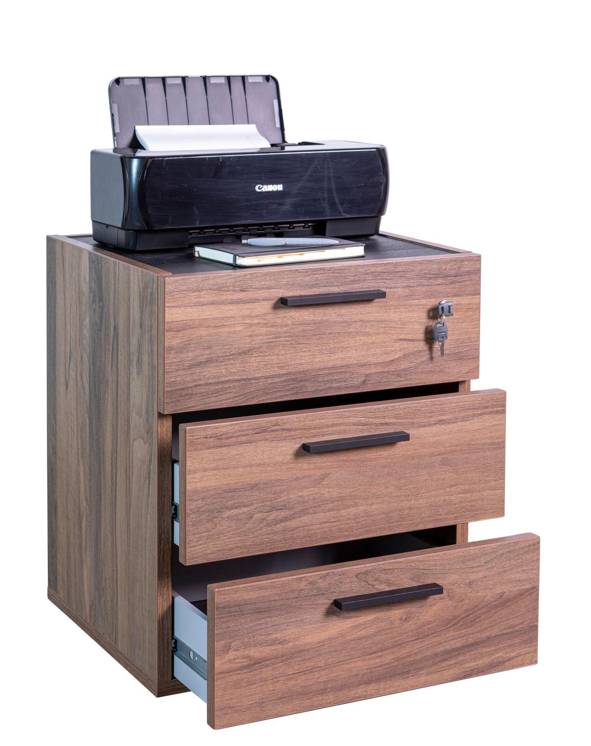 Fiokar Sa Točkićima Rilega - boja oraha/antracit, Moderno, pločasti materijal/plastika (50/61,2/47,2cm) - Modern Living