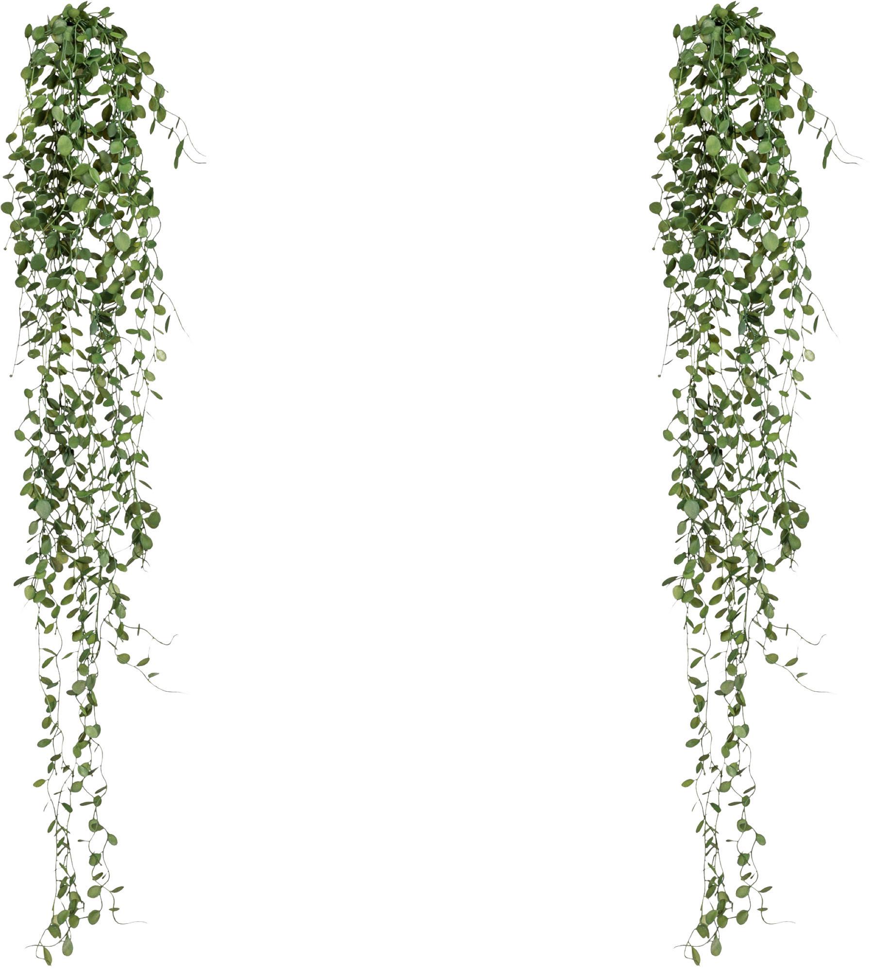 Kunstpflanze Hängepflanzen Dunkelgrün ca. 80cm - Dunkelgrün, Design, Kunststoff (80cm) - P & B