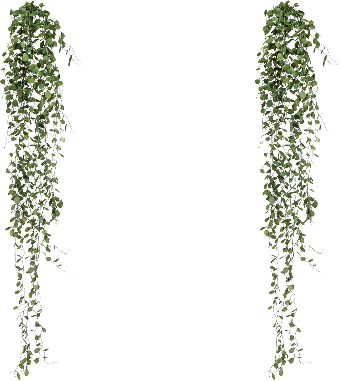 Kunstpflanze Hängepflanzen Dunkelgrün ca. 80cm - Dunkelgrün, Design, Kunststoff (80cm) - P & B