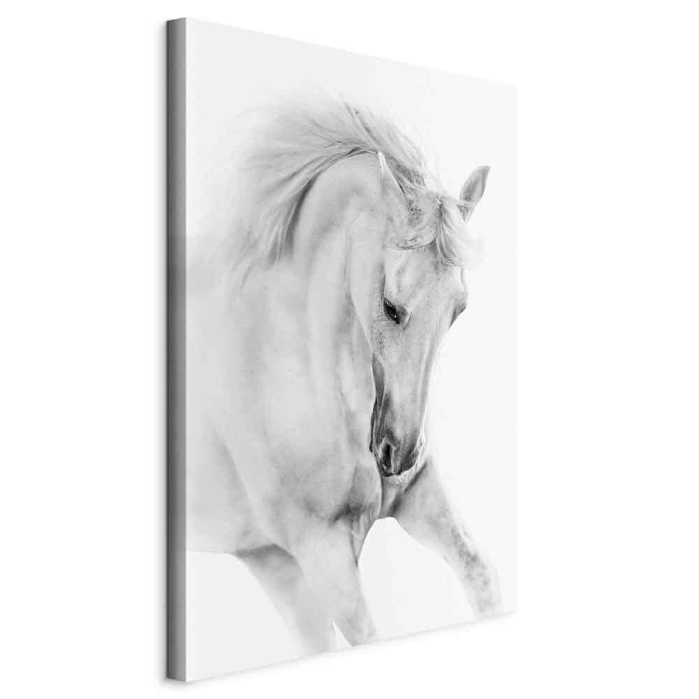 Slika Na Platnu White Horse - bela/sivobela, Basics, tekstil/leseni material (40/60/1.2cm) - artgeist