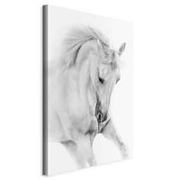 Slika Na Platnu White Horse - bela/sivobela, Basics, tekstil/leseni material (40/60/1.2cm) - artgeist