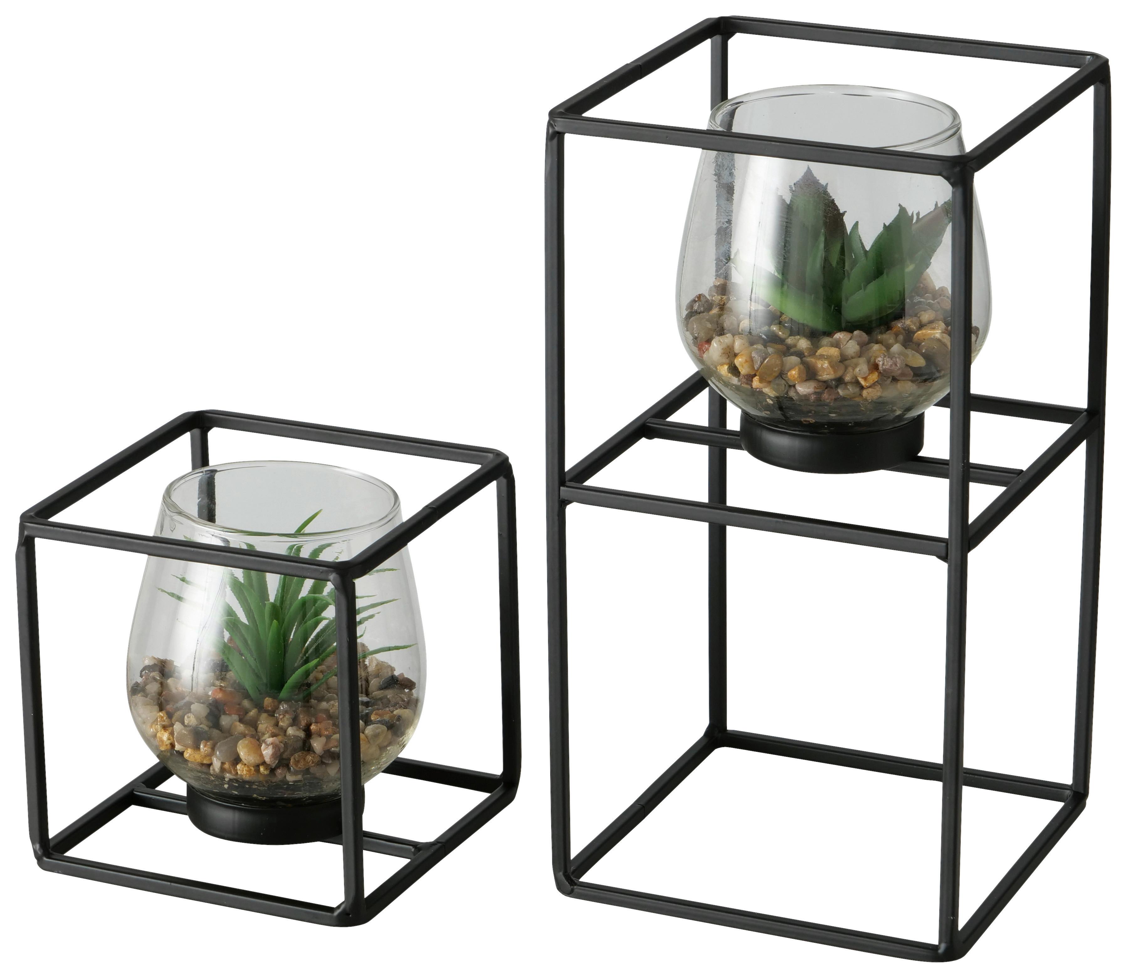 Műnövény Kaspóban Sukkulente - fekete/zöld, Modern, műanyag