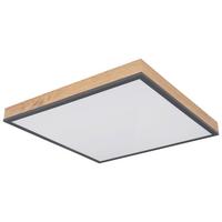 Led Svjetiljka Stropna 416080wd2-Cct Doro - boje grafita/opalna, Basics, metal/plastika (45/45/7,6cm) - Globo