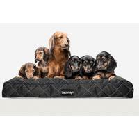 Kisállatpárna Erny L - Modern (90/60/11cm)