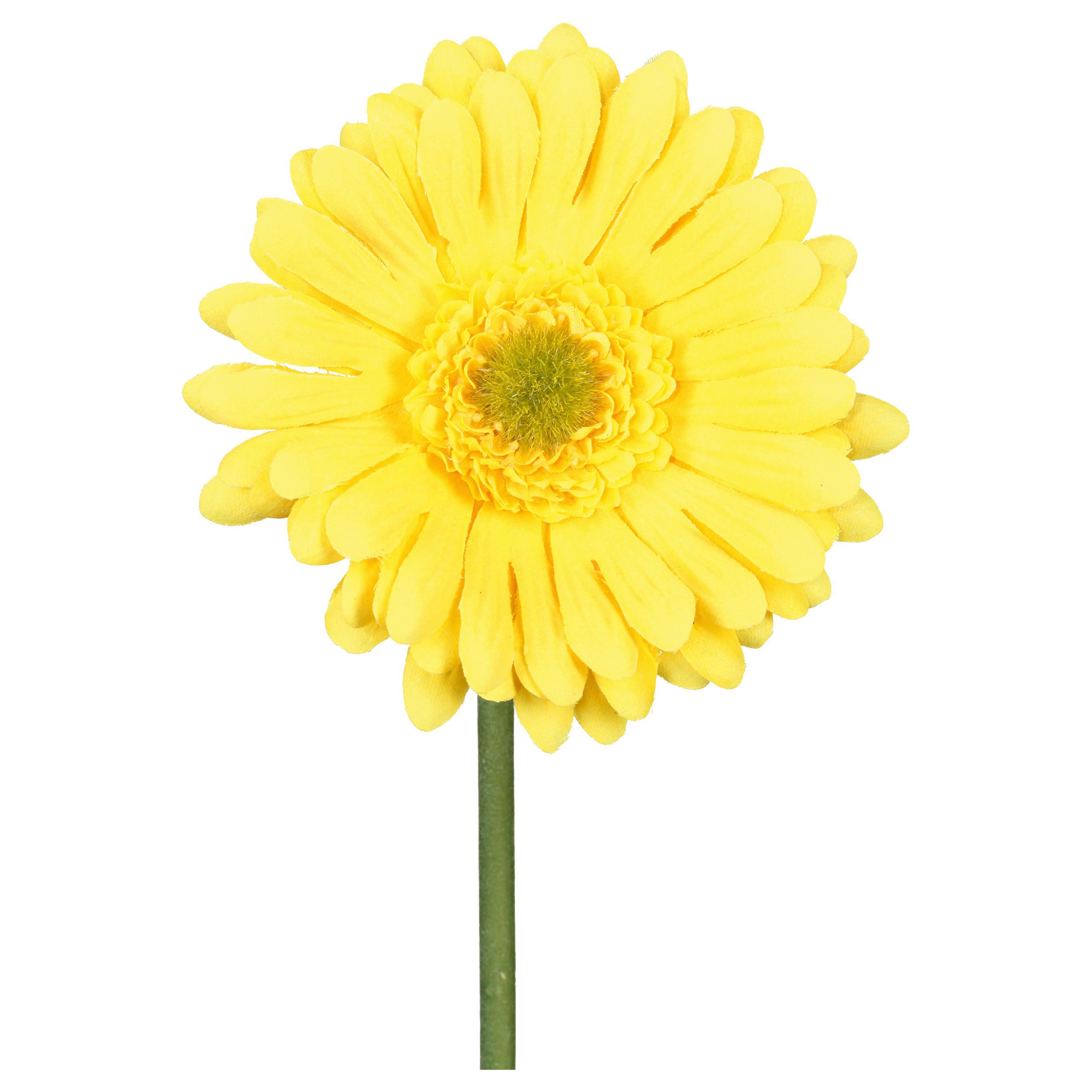 Kunstblume Gerbera I Gelb/Grün - Gelb/Grün, KONVENTIONELL, Kunststoff (50cm) - Mömax