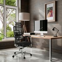 Pisarniški Stol Ergohuman Gen2, Črna - srebrne barve/črna, Moderno, kovina/umetna masa (78/117 - 136/64cm) - MID.YOU